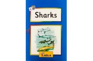 Jolly Readers Sharks